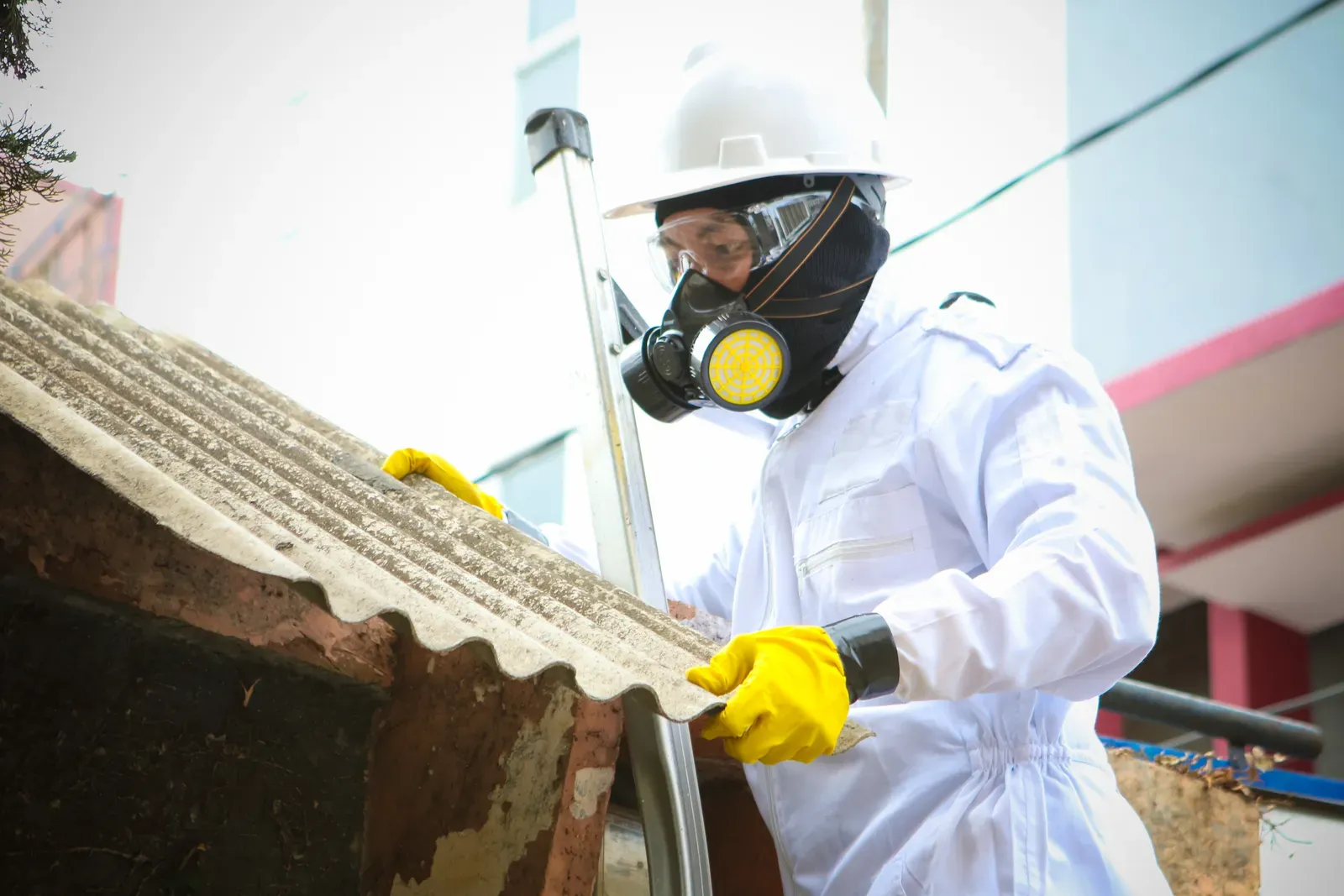 Licensed Asbestos Watch worker in full PPE removing asbestos roof sheeting
